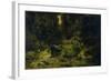 In Search of Firewood-Ernesto Rayper-Framed Giclee Print