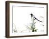 In Search Of Summer Pickings-Dorothy Berry-Lound-Framed Giclee Print