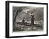 In Search of Water Lilies-null-Framed Giclee Print