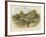 In Shakspere's Land, Anne Hathaway's Cottage at Shottery, Stratford-On-Avon-William Stephen Coleman-Framed Giclee Print