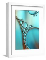 In Shimmering Turquoise-Heidi Westum-Framed Photographic Print