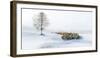 In Snow-Hua Zhu-Framed Photographic Print