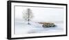 In Snow-Hua Zhu-Framed Photographic Print
