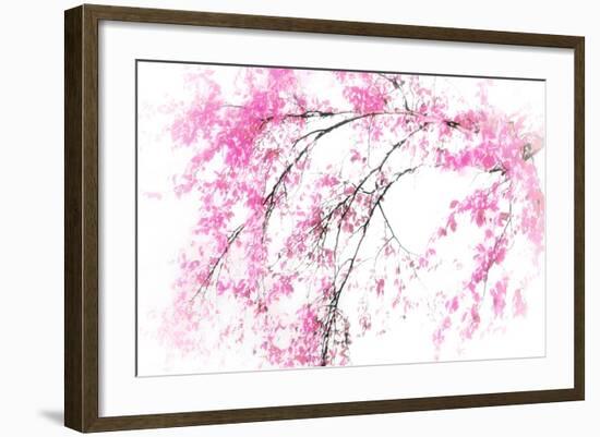 In Spring-Ursula Abresch-Framed Photographic Print