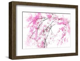 In Spring-Ursula Abresch-Framed Photographic Print