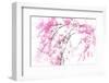 In Spring-Ursula Abresch-Framed Photographic Print