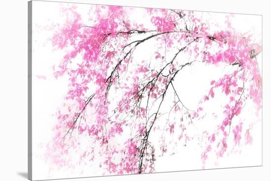 In Spring-Ursula Abresch-Stretched Canvas