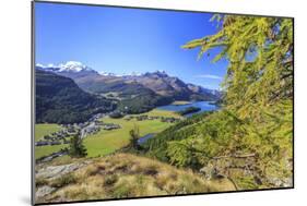 In Summer the Engadine Valley Becomes a Paradise for Mountain Lovers with Larch Forests-Roberto Moiola-Mounted Photographic Print