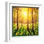 In Sun Forest-Valery Rybakow-Framed Art Print