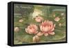 In Sympathy, Water Lilies-null-Framed Stretched Canvas