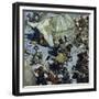 In the 12th Century, the Lands of the Mongols Was the Scenec of Perpetual Feudal Battles-Alberto Salinas-Framed Giclee Print