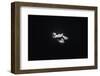 In the Abyss-Arti Firsov-Framed Photographic Print