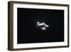 In the Abyss-Arti Firsov-Framed Photographic Print
