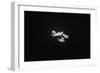 In the Abyss-Arti Firsov-Framed Photographic Print