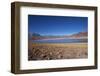 In the Altiplano of the Antofagasta Region of Chile, Is Miniques Lake-Mallorie Ostrowitz-Framed Photographic Print