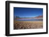 In the Altiplano of the Antofagasta Region of Chile, Is Miniques Lake-Mallorie Ostrowitz-Framed Photographic Print