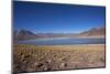 In the Altiplano of the Antofagasta Region of Chile, Is Miniques Lake-Mallorie Ostrowitz-Mounted Photographic Print