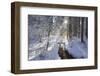 In the Ammer in Winter with Ice and Snow-Wolfgang Filser-Framed Photographic Print