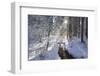 In the Ammer in Winter with Ice and Snow-Wolfgang Filser-Framed Photographic Print