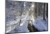 In the Ammer in Winter with Ice and Snow-Wolfgang Filser-Mounted Photographic Print