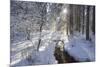 In the Ammer in Winter with Ice and Snow-Wolfgang Filser-Mounted Photographic Print