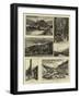 In the Ardennes-null-Framed Giclee Print