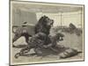 In the Arena-John Charles Dollman-Mounted Giclee Print