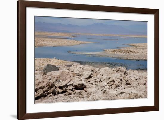 In the Atacama Desert Is the National Reserve of Atacama Salt Lake-Mallorie Ostrowitz-Framed Photographic Print