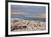 In the Atacama Desert Is the National Reserve of Atacama Salt Lake-Mallorie Ostrowitz-Framed Photographic Print