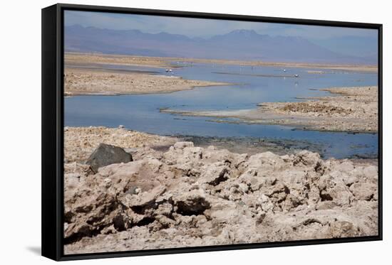 In the Atacama Desert Is the National Reserve of Atacama Salt Lake-Mallorie Ostrowitz-Framed Stretched Canvas