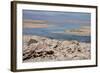 In the Atacama Desert Is the National Reserve of Atacama Salt Lake-Mallorie Ostrowitz-Framed Photographic Print