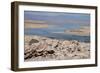 In the Atacama Desert Is the National Reserve of Atacama Salt Lake-Mallorie Ostrowitz-Framed Photographic Print