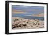 In the Atacama Desert Is the National Reserve of Atacama Salt Lake-Mallorie Ostrowitz-Framed Photographic Print