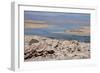 In the Atacama Desert Is the National Reserve of Atacama Salt Lake-Mallorie Ostrowitz-Framed Photographic Print