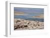 In the Atacama Desert Is the National Reserve of Atacama Salt Lake-Mallorie Ostrowitz-Framed Photographic Print