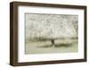 In the backyard-Nel Talen-Framed Photographic Print