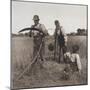 In the Barley Harvest, c.1888-Peter Henry Emerson-Mounted Premium Giclee Print