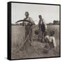 In the Barley Harvest, c.1888-Peter Henry Emerson-Framed Stretched Canvas