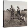 In the Barley Harvest, c.1888-Peter Henry Emerson-Stretched Canvas