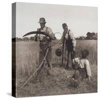 In the Barley Harvest, c.1888-Peter Henry Emerson-Stretched Canvas