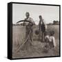 In the Barley Harvest, c.1888-Peter Henry Emerson-Framed Stretched Canvas