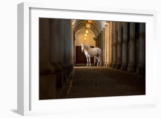 In the Barn-Merrie Asimow-Framed Photographic Print