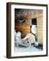 In the Barn-Kevin Dodds-Framed Giclee Print