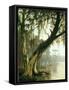In the Bayou-Meeker-Framed Stretched Canvas