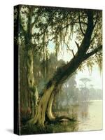 In the Bayou-Meeker-Stretched Canvas