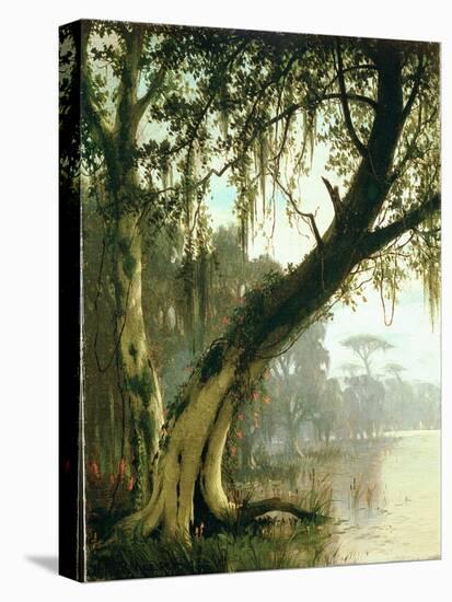 In the Bayou-Meeker-Stretched Canvas