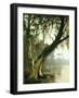 In the Bayou-Meeker-Framed Giclee Print