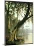 In the Bayou-Meeker-Mounted Giclee Print