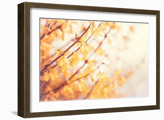 In the Beginning-Carolyn Cochrane-Framed Photographic Print