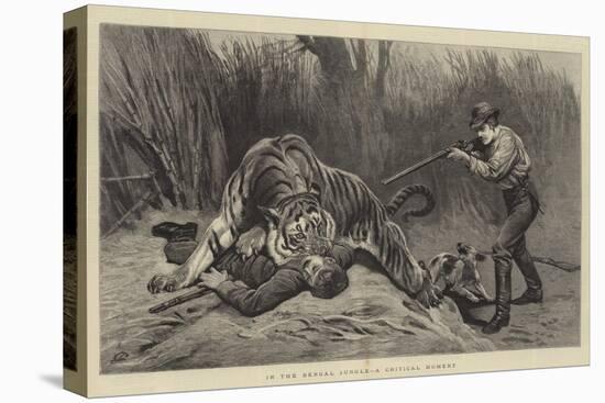 In the Bengal Jungle, a Critical Moment-John Charlton-Stretched Canvas